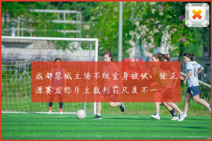 成都蓉城主场不败金身被破，徐正源赛后怒斥主裁判罚尺度不一